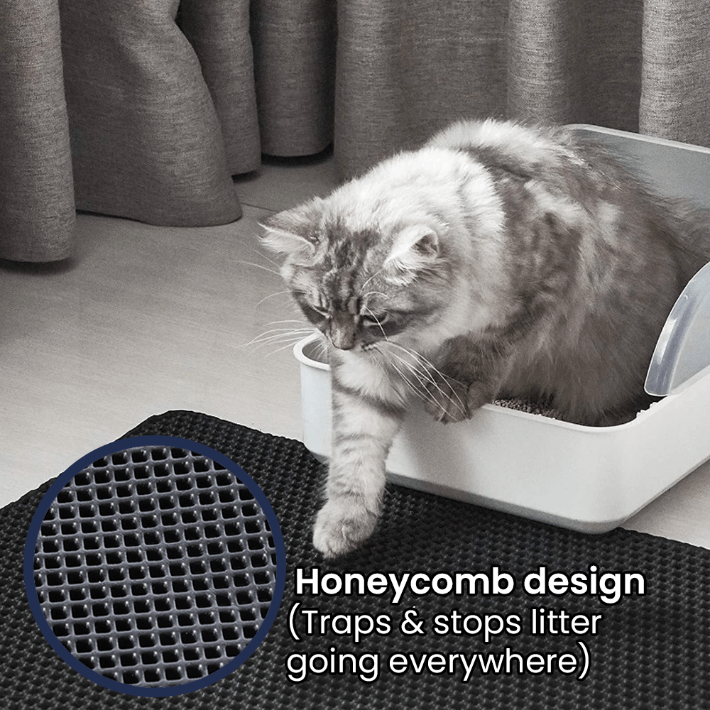 CleanPaw – Die hygienische Katzenstreumatte mit Wabenstruktur für ein sauberes Zuhause