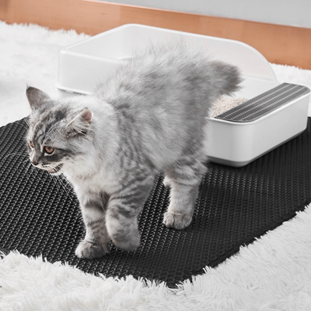 CleanPaw – Die hygienische Katzenstreumatte mit Wabenstruktur für ein sauberes Zuhause