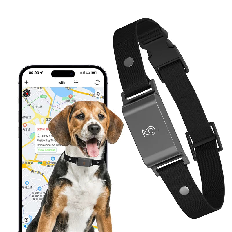 SicherSpur – GPS-Tracker mit 4G & App für Hunde & Katzen