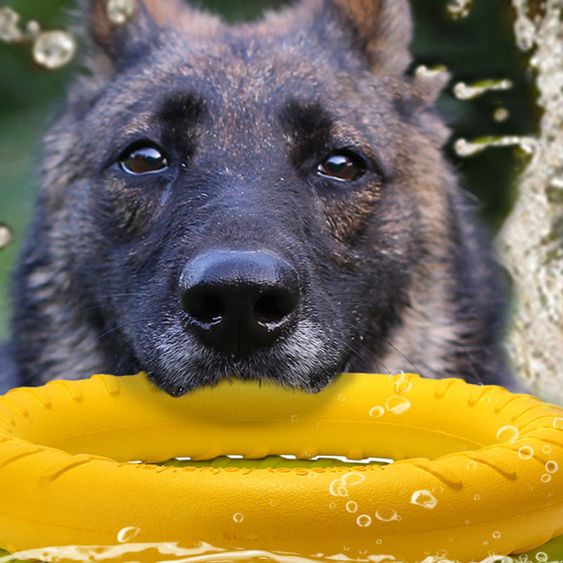 KauRingX – Der wasserfeste Kauring für aktive Hunde