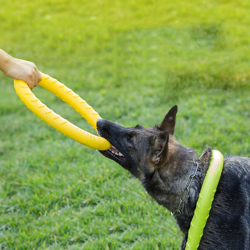 KauRingX – Der wasserfeste Kauring für aktive Hunde