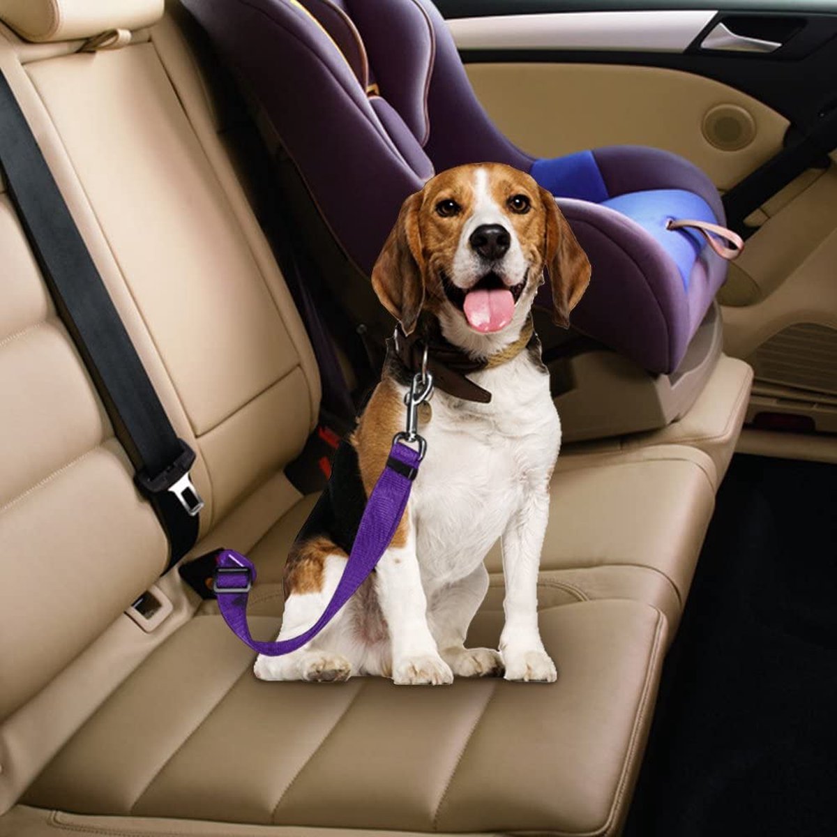RideSafe – Der sichere Hunde-Autogurt für unterwegs