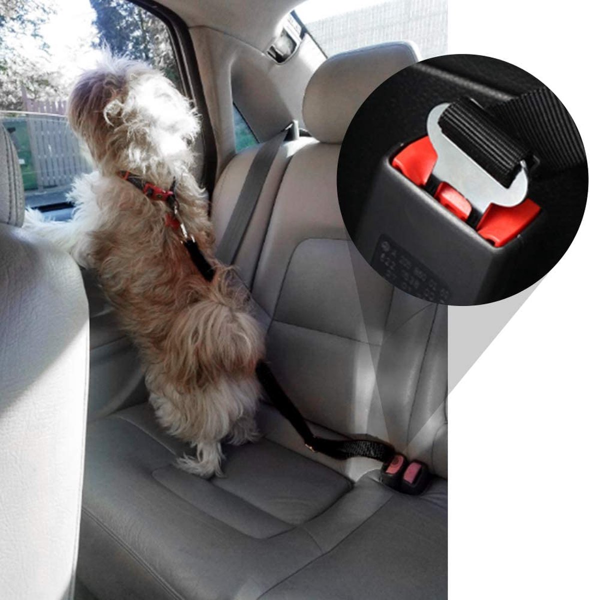 RideSafe – Der sichere Hunde-Autogurt für unterwegs
