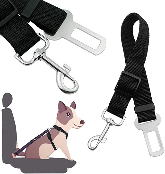 RideSafe – Der sichere Hunde-Autogurt für unterwegs