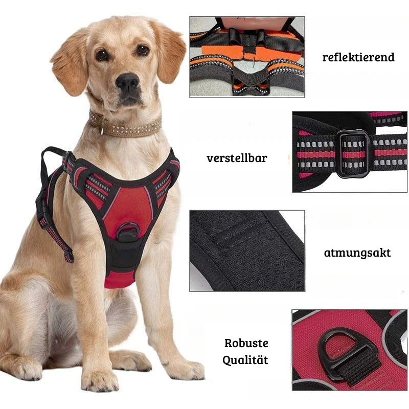 AlphaMove – Das taktische Hundegeschirr für aktive Vierbeiner