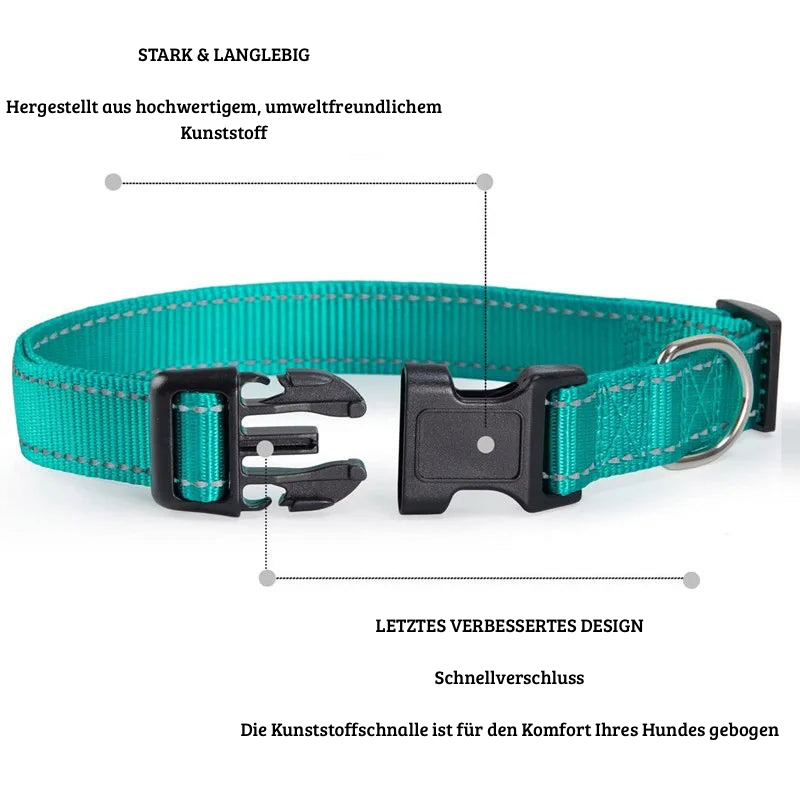 SicherLeucht – Reflektierendes, Hundehalsband aus Nylon für Spaziergänge bei Tag & Nacht