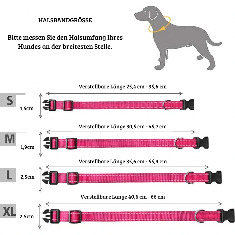 SicherLeucht – Reflektierendes, Hundehalsband aus Nylon für Spaziergänge bei Tag & Nacht