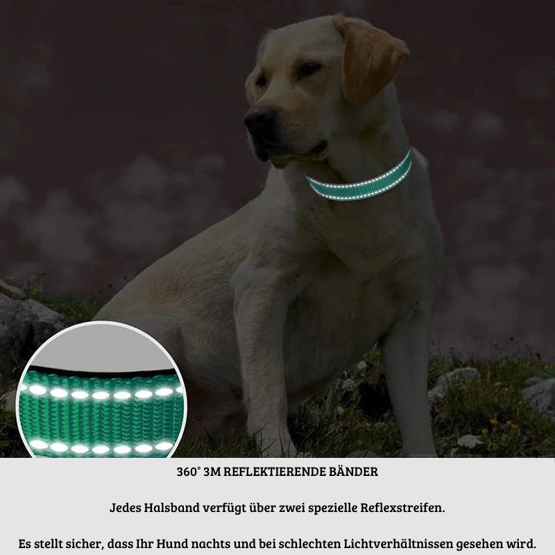 SicherLeucht – Reflektierendes, Hundehalsband aus Nylon für Spaziergänge bei Tag & Nacht
