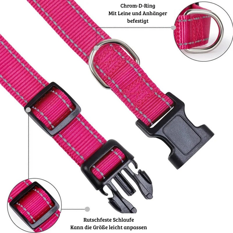 SicherLeucht – Reflektierendes, Hundehalsband aus Nylon für Spaziergänge bei Tag & Nacht