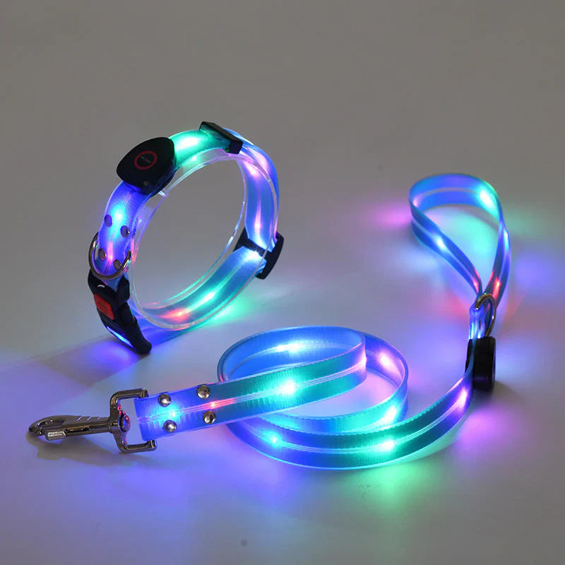 GlowPaw – LED Hundehalsband mit Leine für sichere Abendspaziergänge