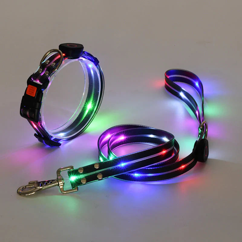 GlowPaw – LED Hundehalsband mit Leine für sichere Abendspaziergänge