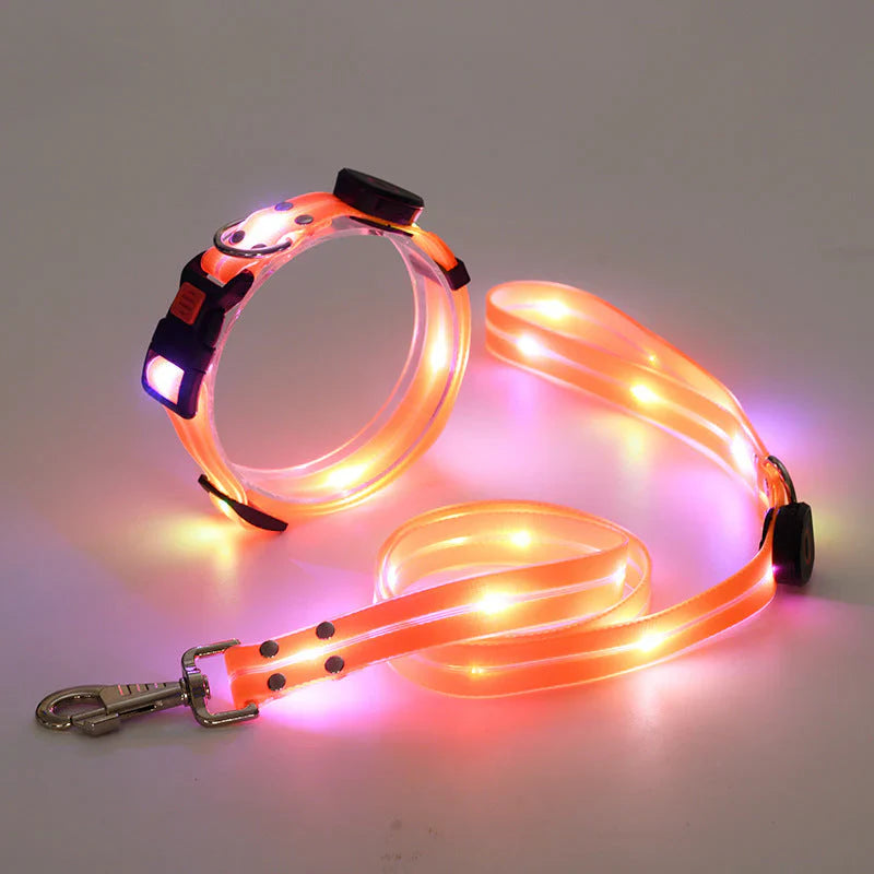 GlowPaw – LED Hundehalsband mit Leine für sichere Abendspaziergänge