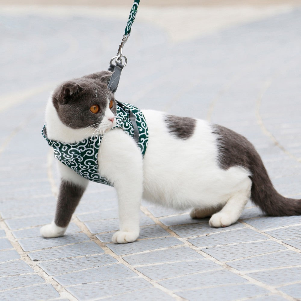 Katzengeschirr für Freigänger | Sicher & Bequem