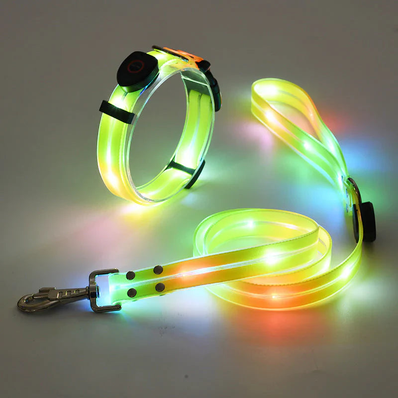 GlowPaw – LED Hundehalsband mit Leine für sichere Abendspaziergänge