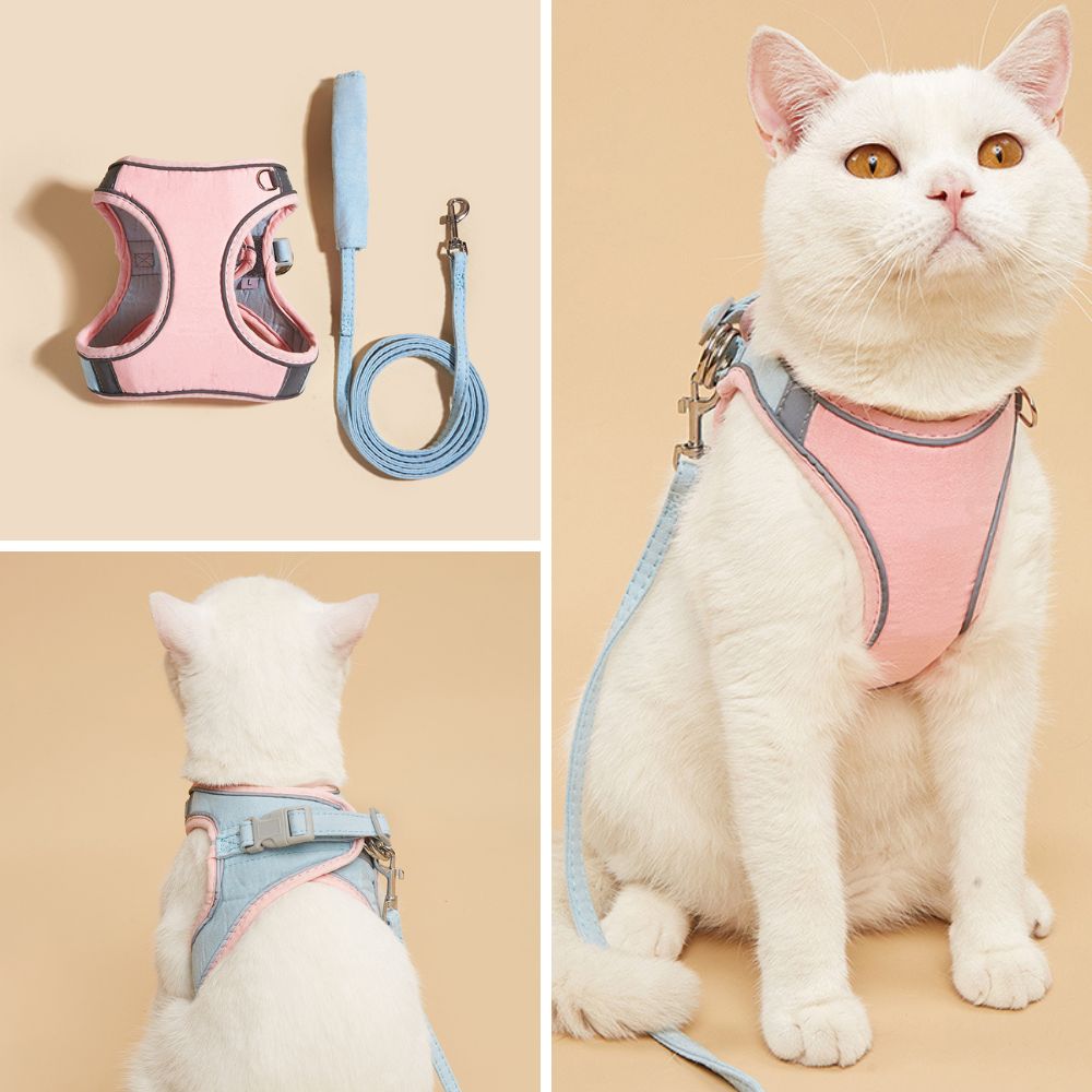 SafeCat– Sicheres & Ausbruchsicheres Katzengeschirr mit Leine