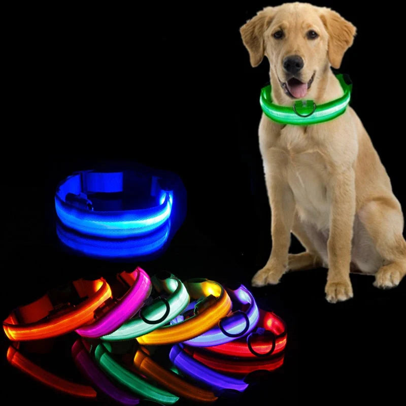 NightBuddy – LED Hundehalsband für maximale Sichtbarkeit im Dunkeln