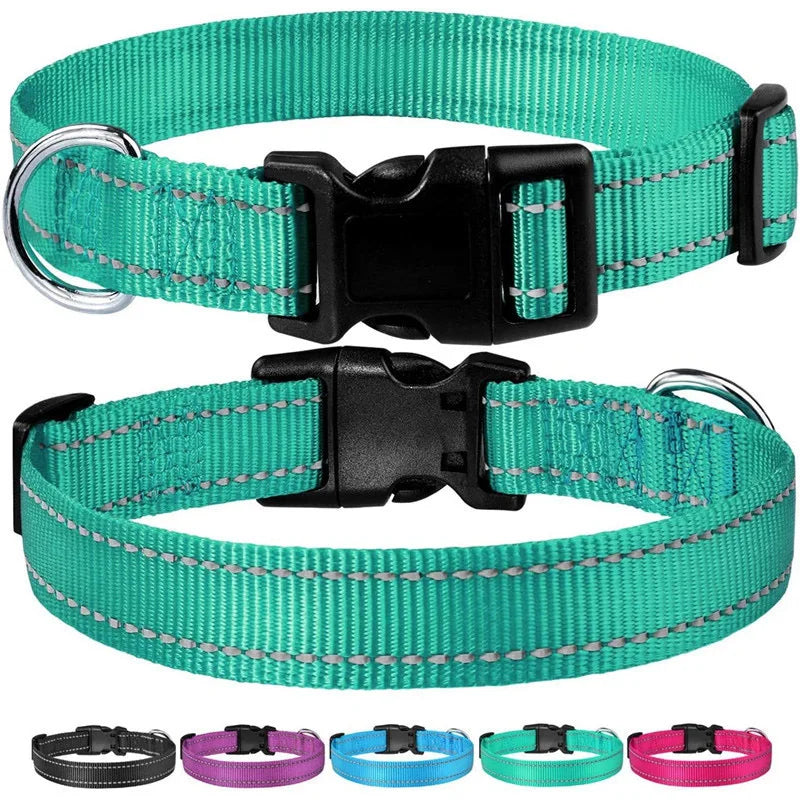 SicherLeucht – Reflektierendes, Hundehalsband aus Nylon für Spaziergänge bei Tag & Nacht