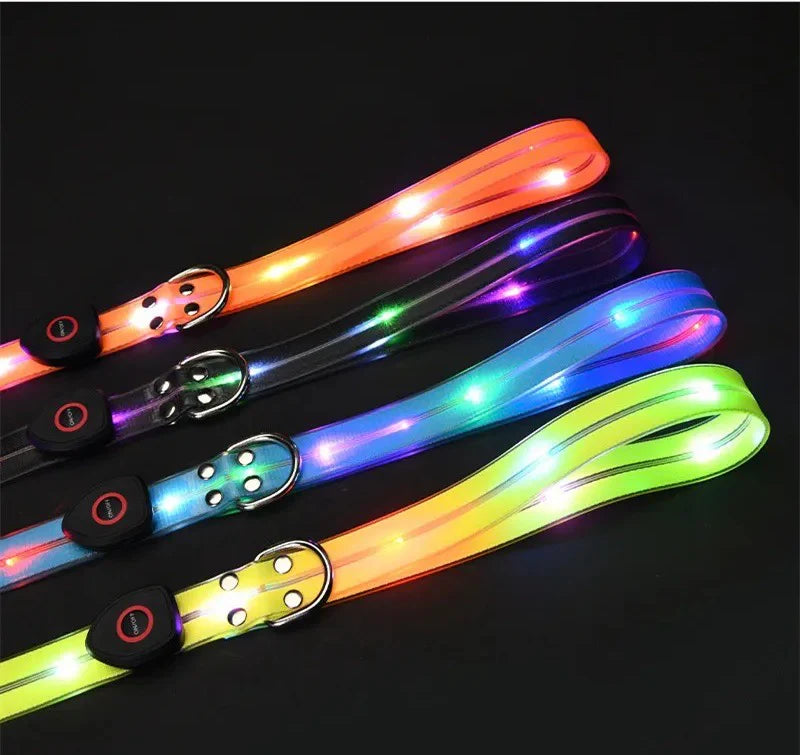 GlowPaw – LED Hundehalsband mit Leine für sichere Abendspaziergänge
