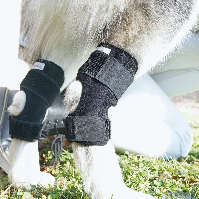 PawSupport – Verstellbare Kniebandage für Hunde