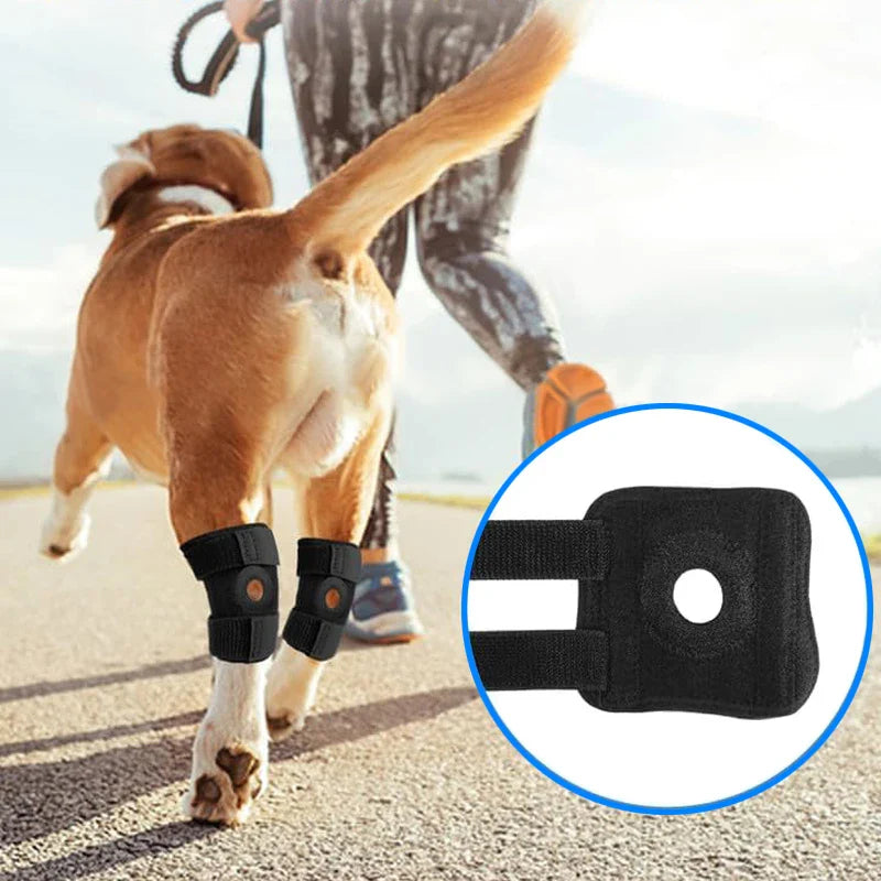 PawSupport – Verstellbare Kniebandage für Hunde
