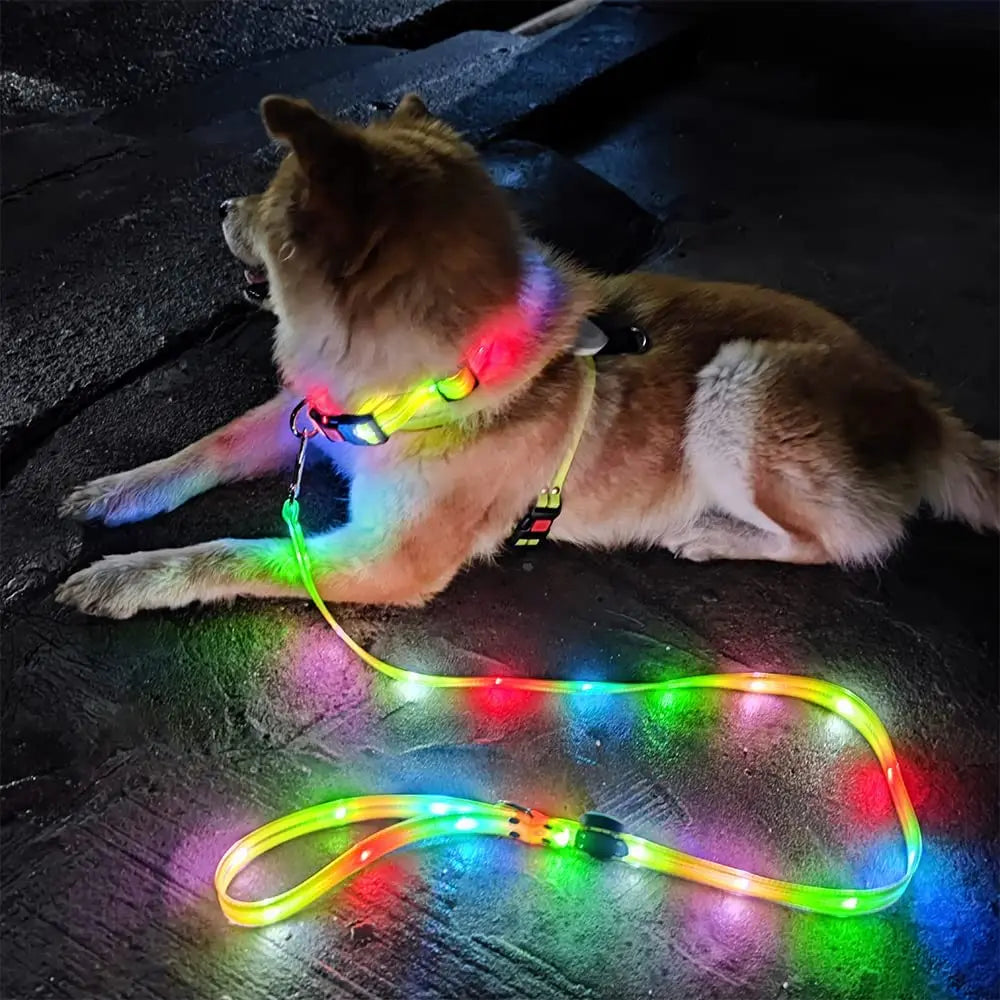 GlowPaw – LED Hundehalsband mit Leine für sichere Abendspaziergänge