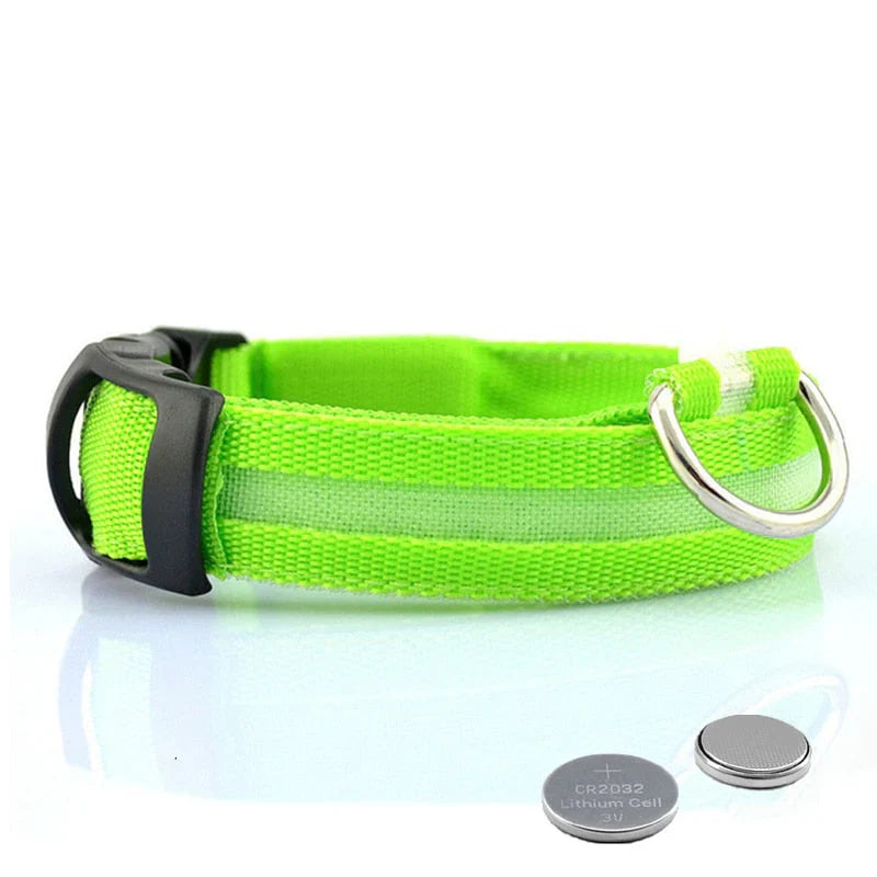 NightBuddy – LED Hundehalsband für maximale Sichtbarkeit im Dunkeln