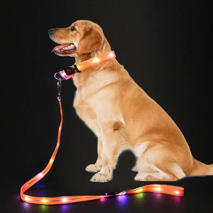 GlowPaw – LED Hundehalsband mit Leine für sichere Abendspaziergänge