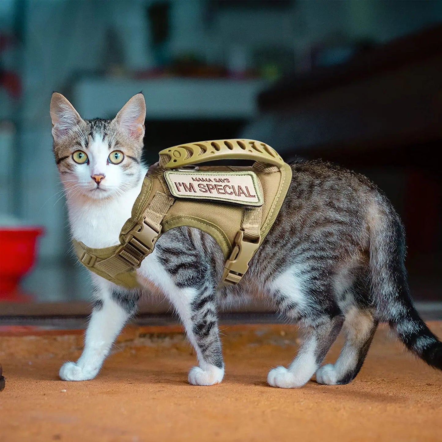 KletterKönig – Das ausbruchsichere Katzengeschirr mit Griff für Abenteuer draußen