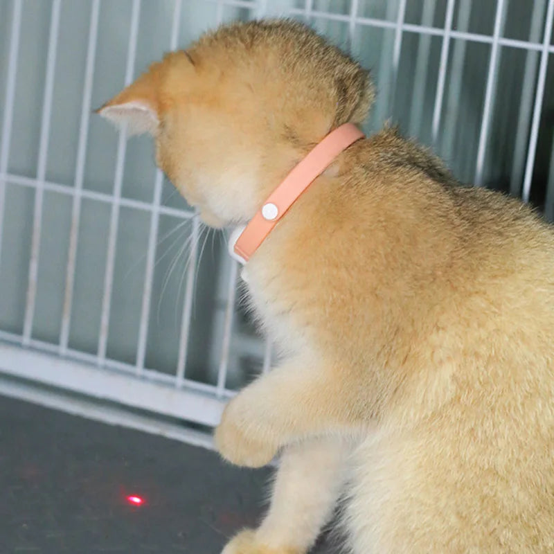 LaserTiger – Interaktives LED-Laser-Halsband für verspielte Katzen