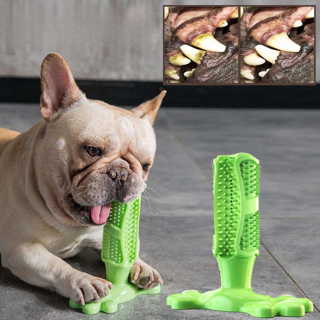 DentalBuddy – Der natürliche Zahnpflege-Kauknochen für Hunde