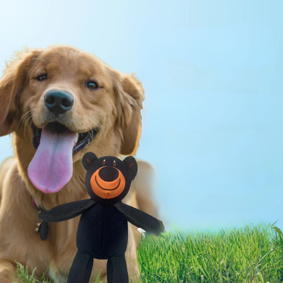BeißBär – Das robuste Hundespielzeug aus Nylon und Plüsch
