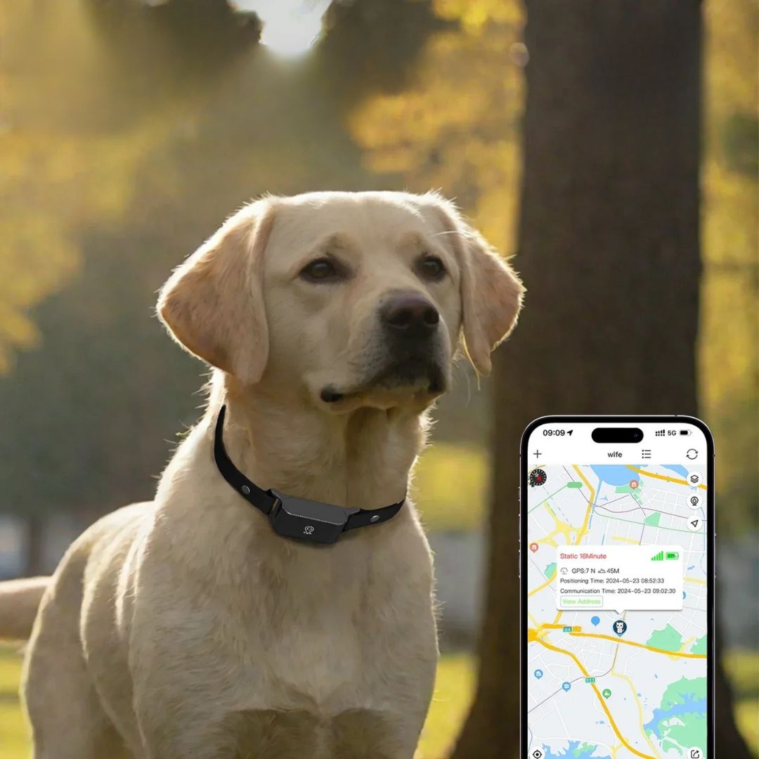 SicherSpur – GPS-Tracker mit 4G & App für Hunde & Katzen