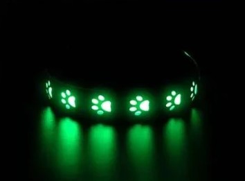 LED Hundehalsband für bessere Sichtbarkeit bei Nacht & Spaziergängen im Dunkeln