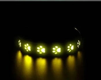 LED Hundehalsband für bessere Sichtbarkeit bei Nacht & Spaziergängen im Dunkeln
