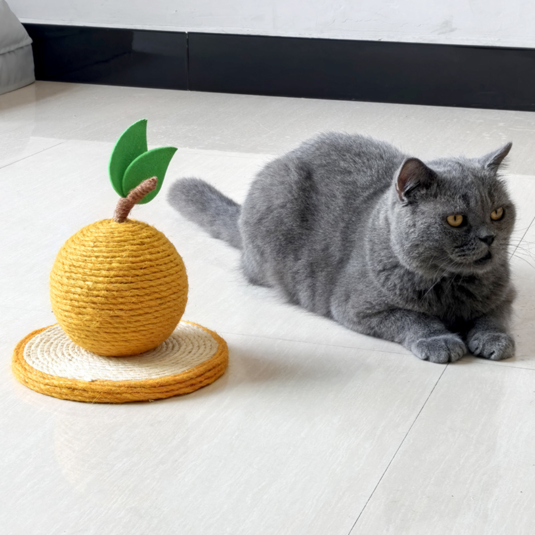 Kratzi fruit - Das natürliche Sisalkratzspiel für glückliche Katzen