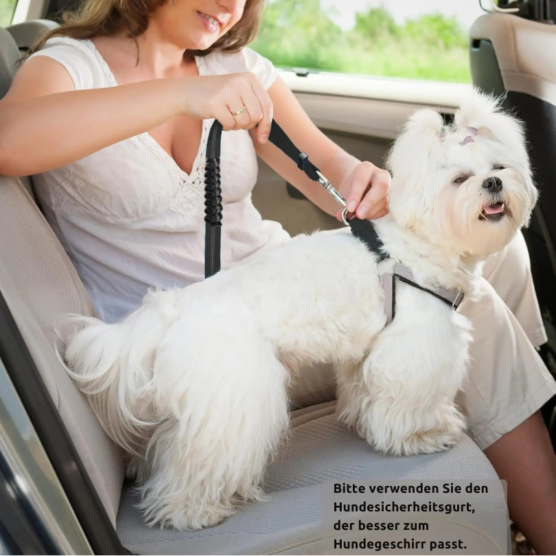 SafeRide – Der verstellbare Sicherheitsgurt für Hunde im Auto