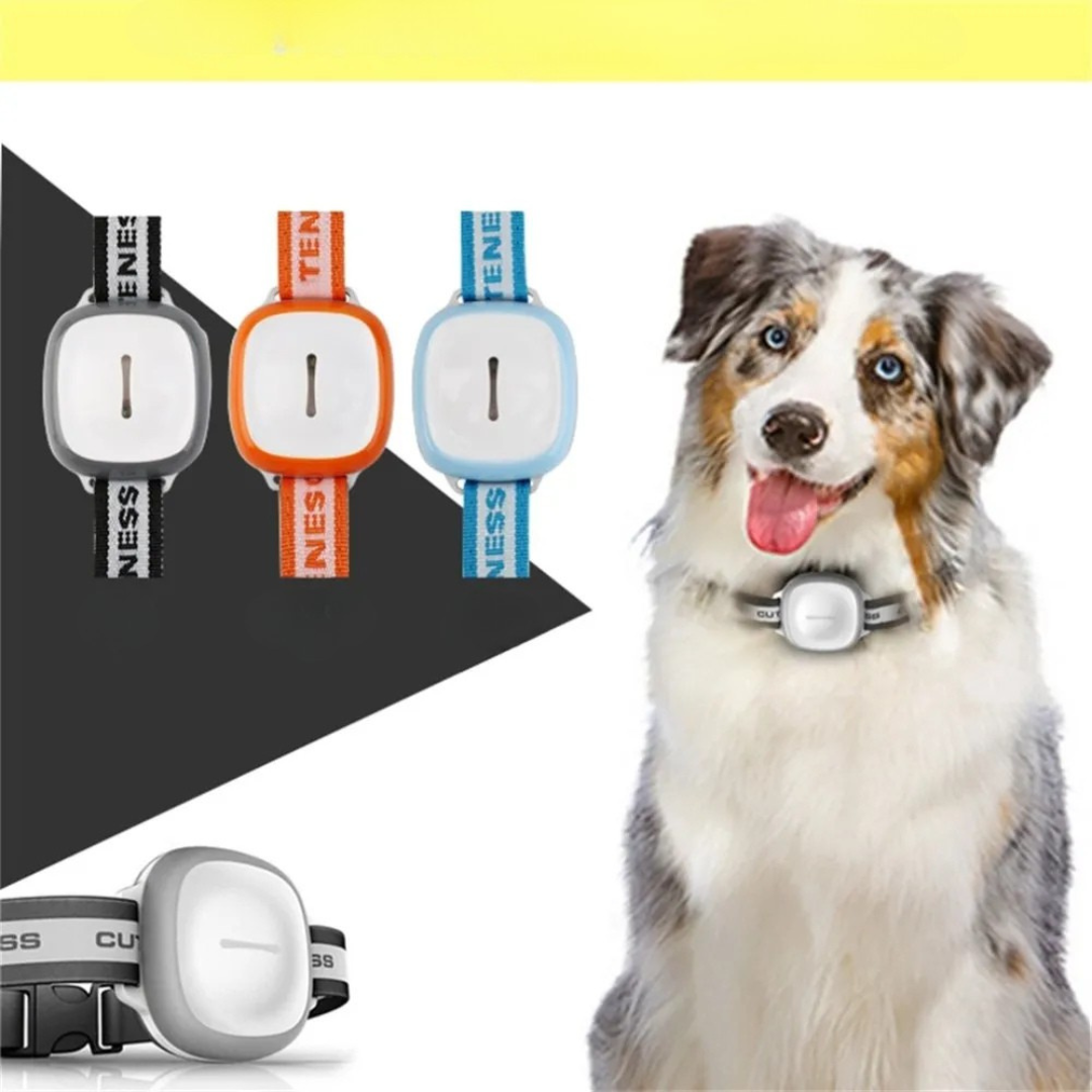 SafeBuddy – GPS-Tracker für Hunde mit Echtzeit-Ortung & Sicherheitsalarm