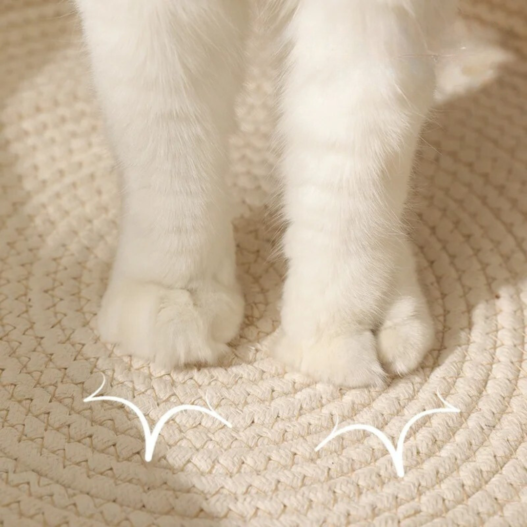 SchlummerNest – Handgewebtes Katzenbett aus Baumwollseil