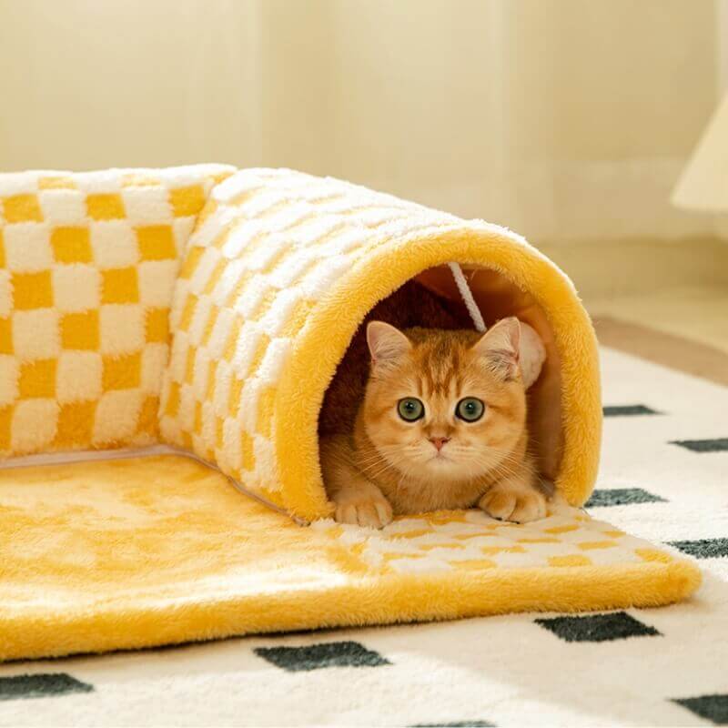 TunnelTraum – Der 2-in-1 Spieltunnel & Rückzugsort für Katzen