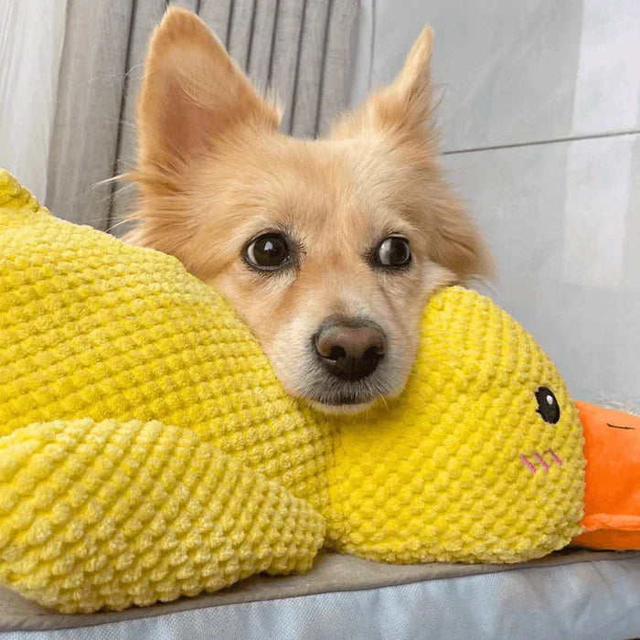 Starke Ente – Beruhigendes Hundespielzeug