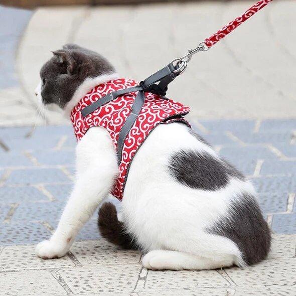 Katzengeschirr für Freigänger | Sicher & Bequem
