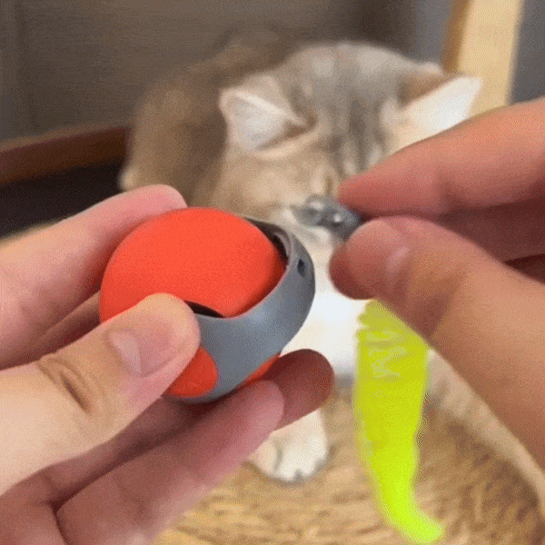 FurrySpin - Elektrisches Katzenspielzeug