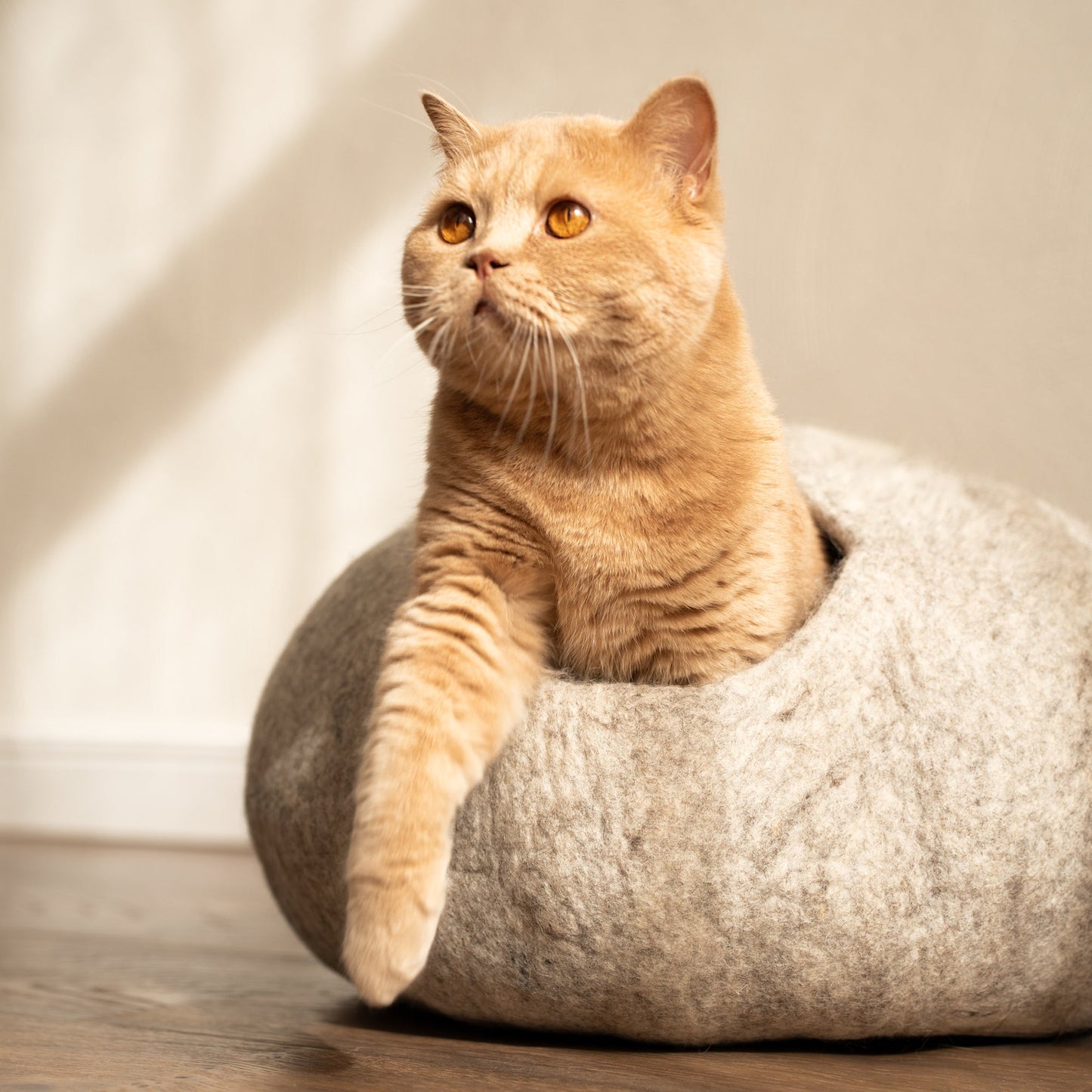 SnuggleCave Filzhöhle für Katzen