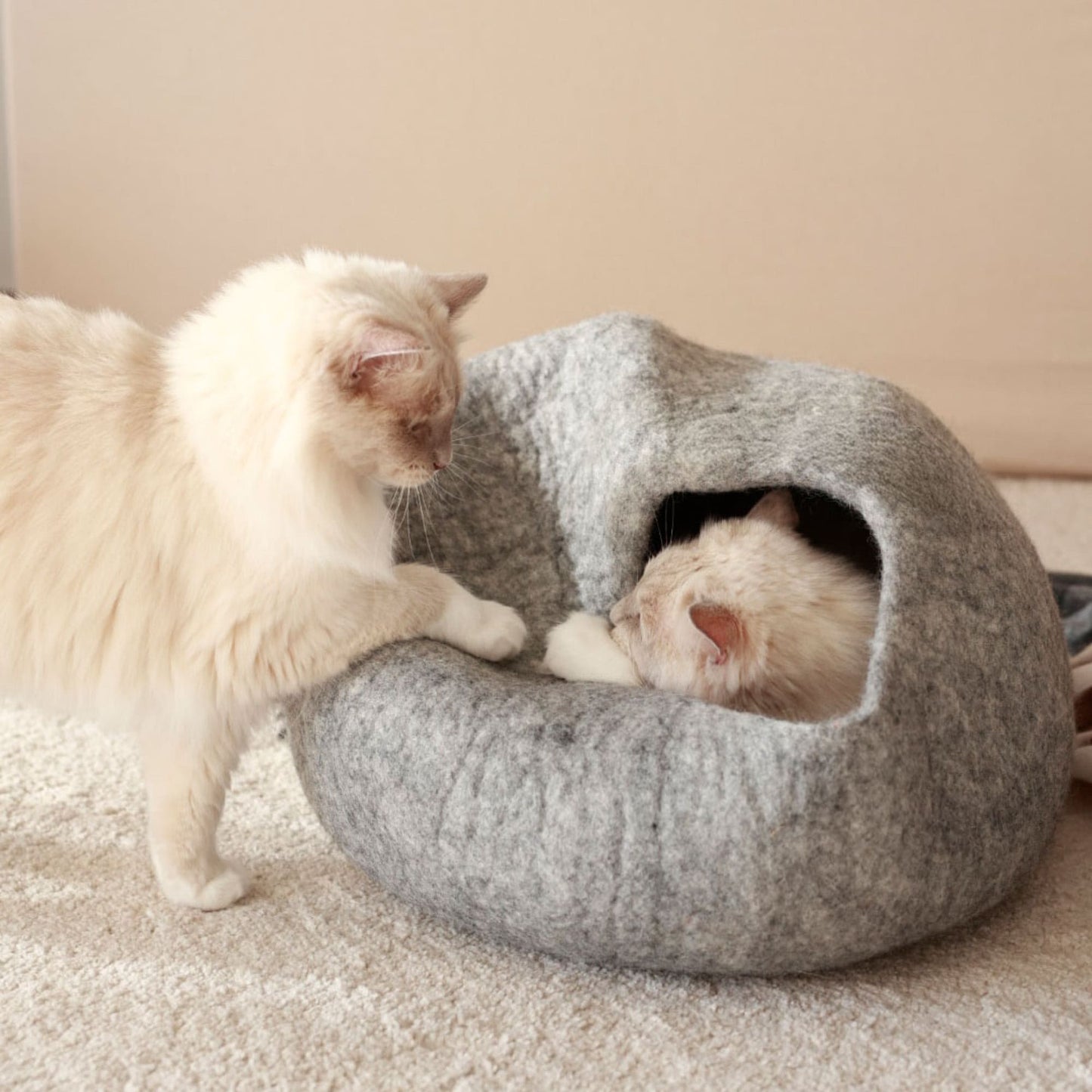 SnuggleCave Filzhöhle für Katzen