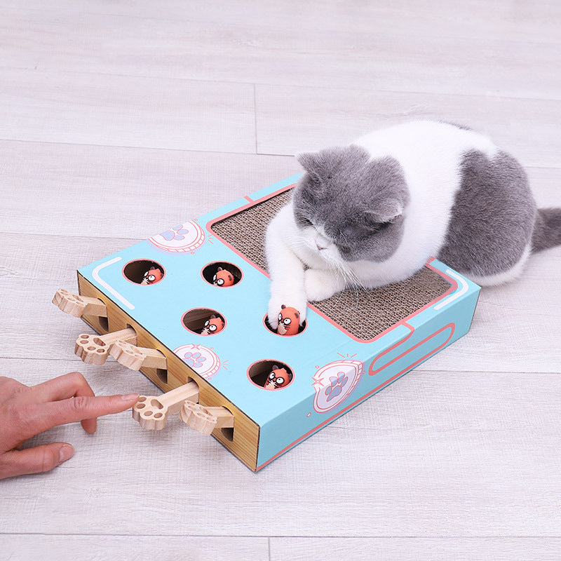 PlayPal – Die interaktive 3in1 Spielbox für Katzen