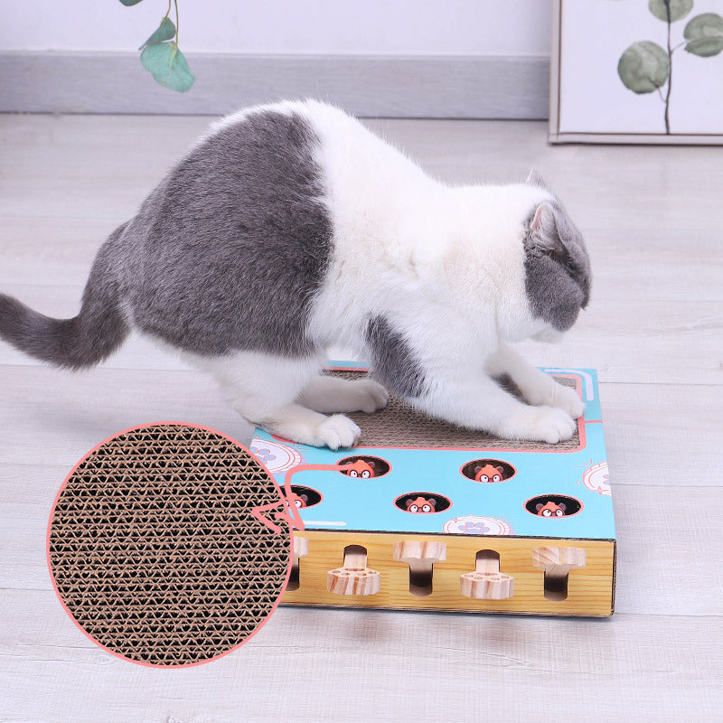 PlayPal – Die interaktive 3in1 Spielbox für Katzen