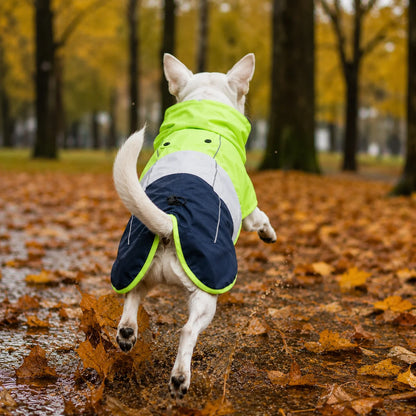Hundemantel Regenjacke | Wasserdicht & atmungsaktiv für Hunde