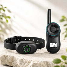 Anti-Bell Hunde Halsband mit Fernbedienung | Wasserdicht & USB
