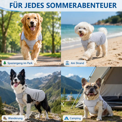 Hundekühlweste mit Verdunstungskühlung für warme Sommertage