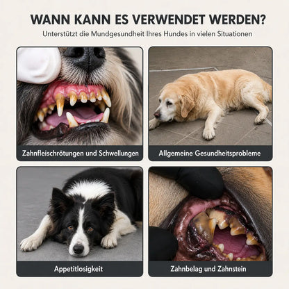 Zahnbürsten-Set für Hunde – Gegen Plaque & Mundgeruch